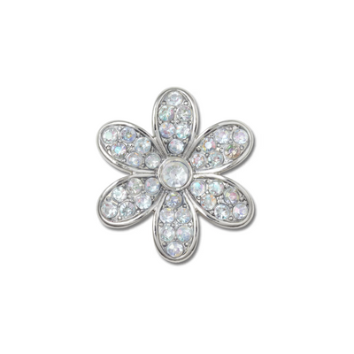 Jibbitz Silver