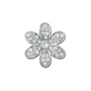 Jibbitz Silver