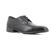 Blucher Negro