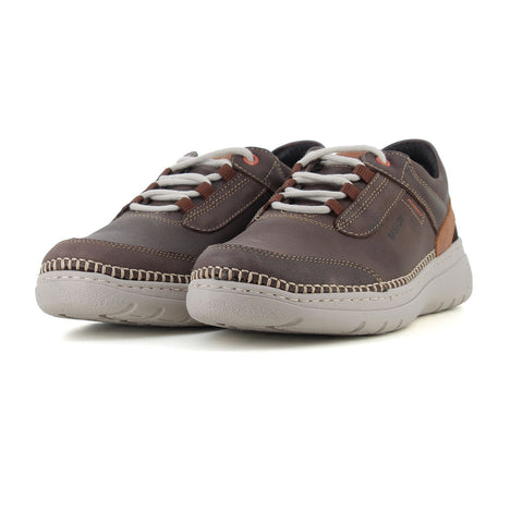 Blucher Marron