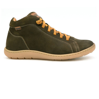 Botin Cactus