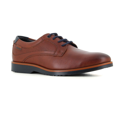 Blucher Marron