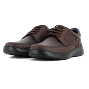 Blucher Marron