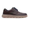 Blucher Marron
