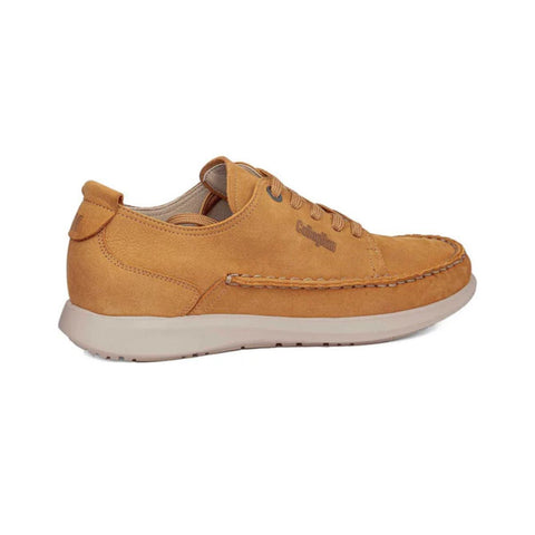 Blucher Haya