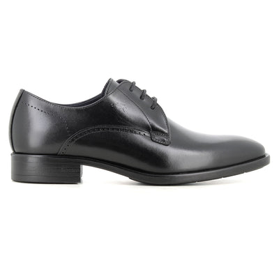 Blucher Negro