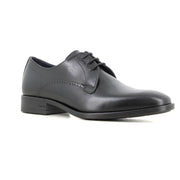 Blucher Negro