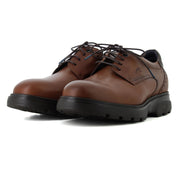 Blucher Camel