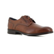 Blucher Camel