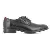 Blucher Negro