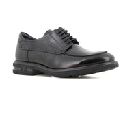 Blucher Negro