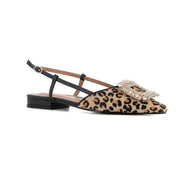 Francesita Destalonada Pony