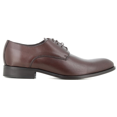 Blucher Marron