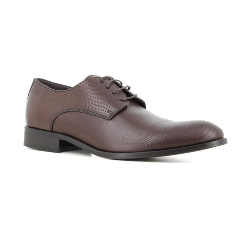 Blucher Marron