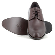 Blucher Marron