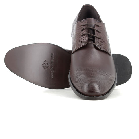 Blucher Marron