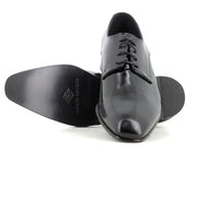 Blucher Negro
