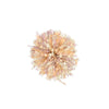 Pompon Beige