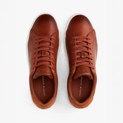 Deportivo Winter Cognac